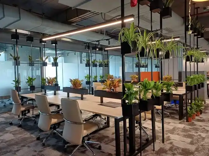 Fixed Desk